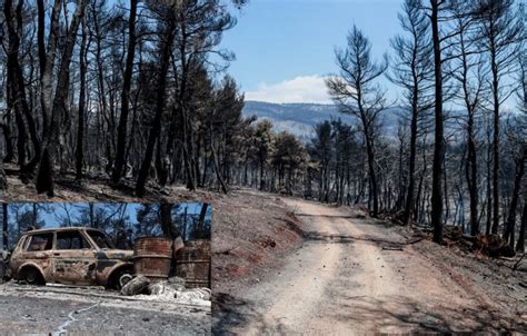 Η φωτιά καίει δίπλα σε σπίτια στην είσοδο του οικισμού ενώ οι άνεμοι που πνέουν στην περιοχή είπα ο ισχυροί. ΦΩΤΙΑ - ΕΥΒΟΙΑ: Εντοπίστηκαν στοιχεία που δείχνουν ...