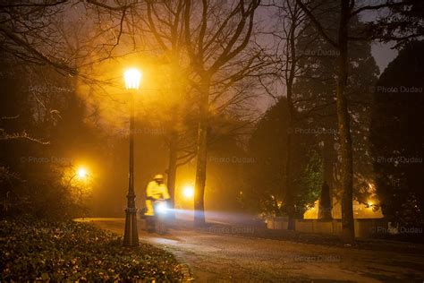 Foggy Night Park Alley Stock Images Luxembourg