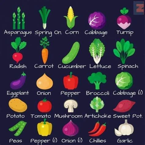 Vegetable Types With Pictures Vegetable Names In English