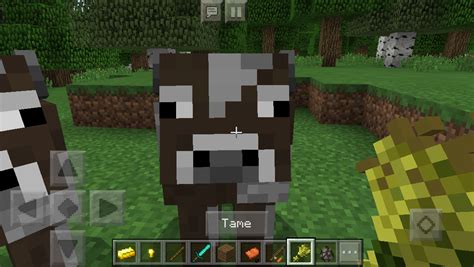 Better Cows Addon Mcpe Minecraft Mod