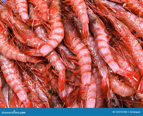 Fresh Raw Shrimps On Ice At Seafood Market Defrosted Prawns At Store