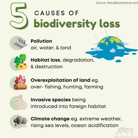 The Biodiversity Crisis Environmental Science Lessons Biodiversity