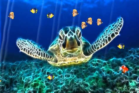 Ocean World Animated Wallpaper Youtube