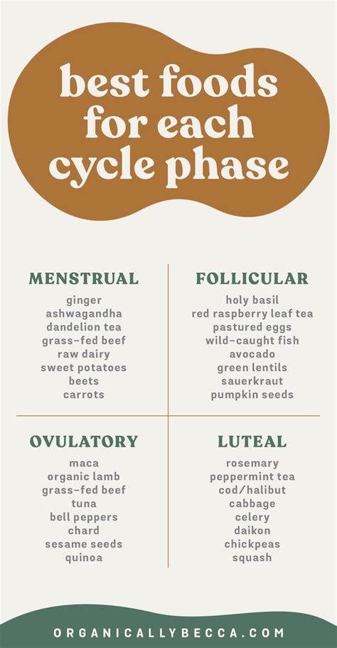 best foods to eat for your menstrual cycle phases holistic health remedies hormone nutrition