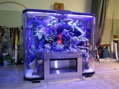 1000 Images About Aquariums On Pinterest Fireplaces Home Aquarium