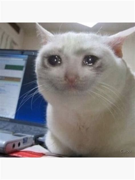 Feeling Down Let This Crying Cat Meme Cheer Up Your Life Film Daily