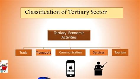 Tertiary Economic Activites
