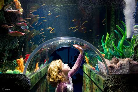 Melbourne Sea Life Aquarium And Legoland Discovery Centre Attraction Pass
