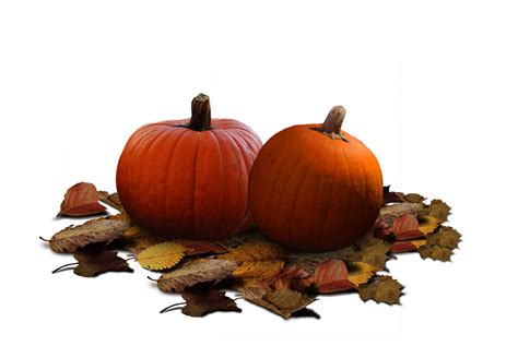 Real Pumpkin PNG Clipart PNG, SVG Clip art for Web - Download Clip Art
