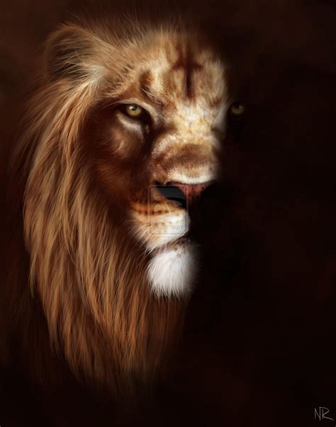 Angry Lion Wallpapers Wallpaper Cave