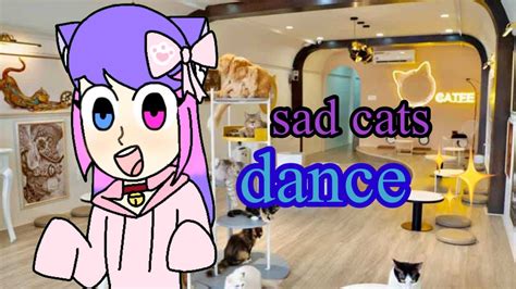 Sad Cats Dance 🐈 Youtube