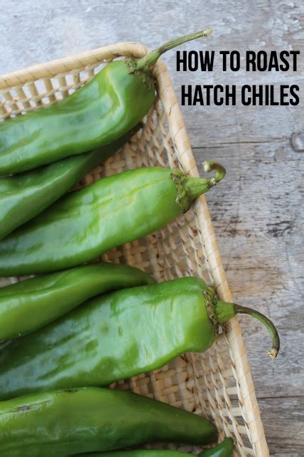 How To Roast Hatch Chiles
