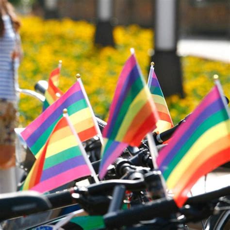 6 Pcs Rainbow Flag Gay Party Peace Flags Banner Lgbt Pride Flag Lesbian Gay Pride Parade Flags
