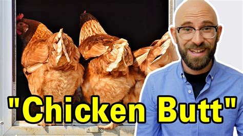 who first got the idea to answer the question guess what with chicken butt youtube
