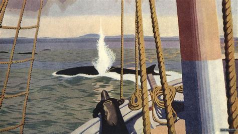 What It Was Really Like Working On A Whaling Ship