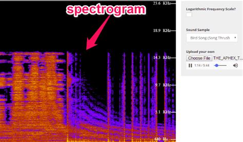 5 Free Online Audio Spectrogram Generator