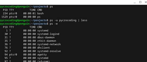 How To Exit From Linux Find Systran Box