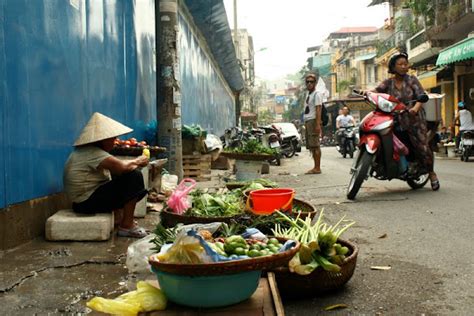 Skruzdėlynas Vietnamo Sostinė Hanojus 100 Dienų Kelionės Ir