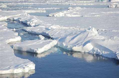 Study Links Human Actions To Specific Arctic Sea Ice Melt The