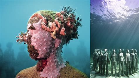 Southern Hemispheres First Underwater Museum Planned For Townsville