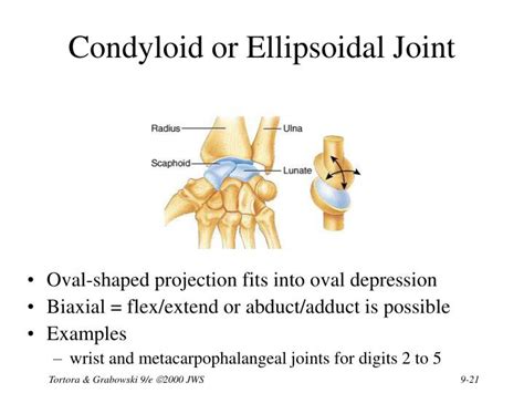 Ppt Chapter 9 Joints Powerpoint Presentation Id1703136