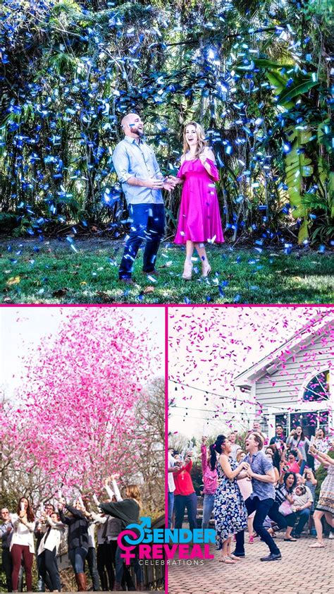 Gender Reveal Confetti Cannon Surprise Genderrevealideas Genderreveal Gender Reveal