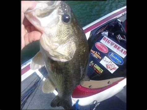 Smith mountain lake offers many opportunities and challenges if you like to fish! Bass Fishing Smith Mountain Lake Spring 2013 - YouTube