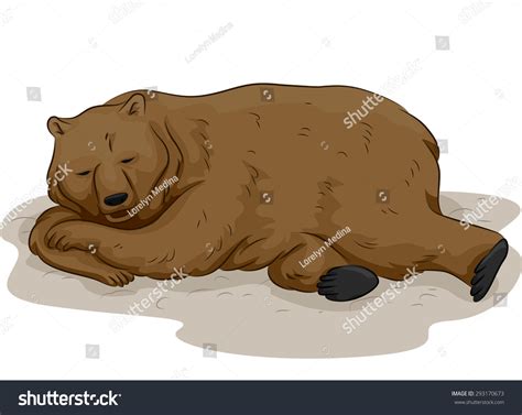 Illustration Bear Middle Hibernation Stock Vector Royalty Free