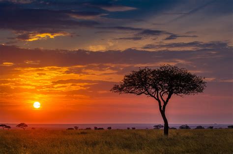 African Sunrise And Sunsets Hawkins Photo Alchemy