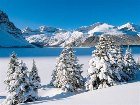 Bow Lake In Winter Banff National Park Western Alberta All Canada