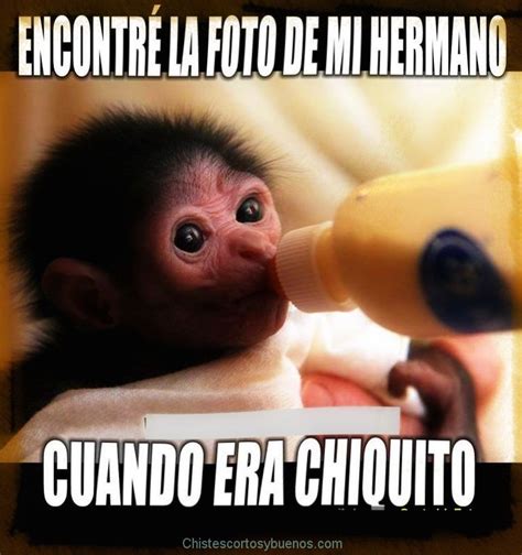 Memes graciosos - Fotos de amor & Imagenes de amor