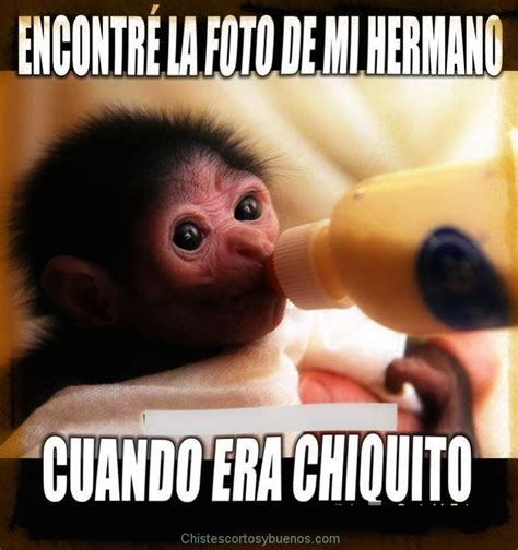 Memes Graciosos Fotos De Amor And Imagenes De Amor