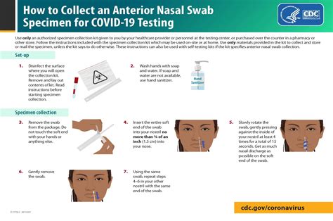 Nasal Swab How To Guide Usc Student Health