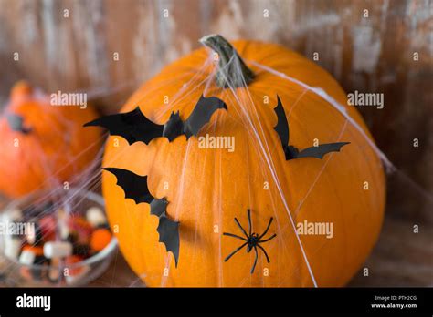 Halloween Pumpkins With Bats And Spider Web Stock Photo Alamy