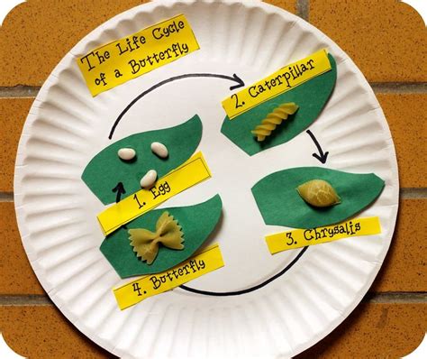Information about the life cycle of a butterfly. Professora Juce: Plano de Aula: Bichinhos de Jardim - Para ...