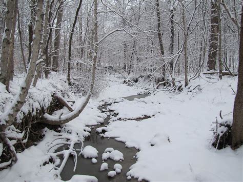 Snowy Stream Photograph By Jennifer Weaver Fine Art America