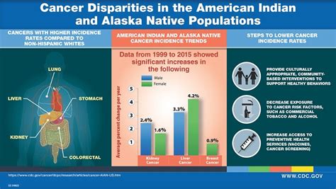 Cancer Within Native American And Alaska Native Populations