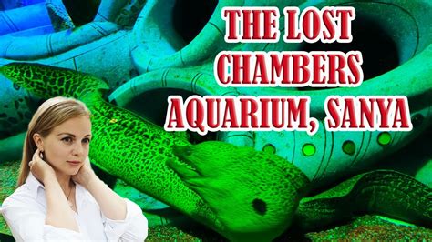 三亚水世界 The Lost Chambers Aquarium In Sanya Atlantis Hotel In Hainan