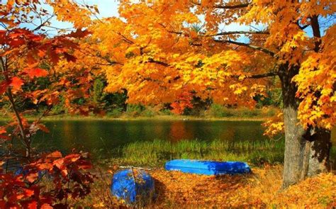 Lake Boat Trees Fall Grass Yellow Red Leaves