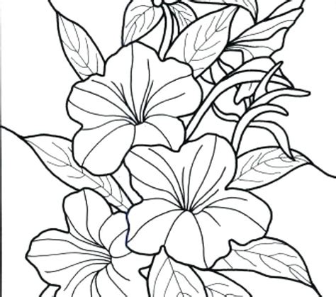 First you'll need to decide on your flower colors. Hawaii State Flower Drawing at GetDrawings | Free download