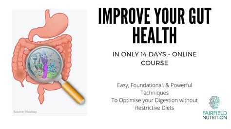 How To Improve Your Digestive Health Short Course