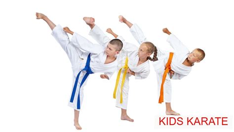 Mccoys Action Karate Home