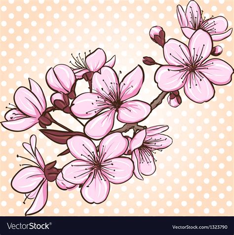 Cherry Blossom Royalty Free Vector Image Vectorstock