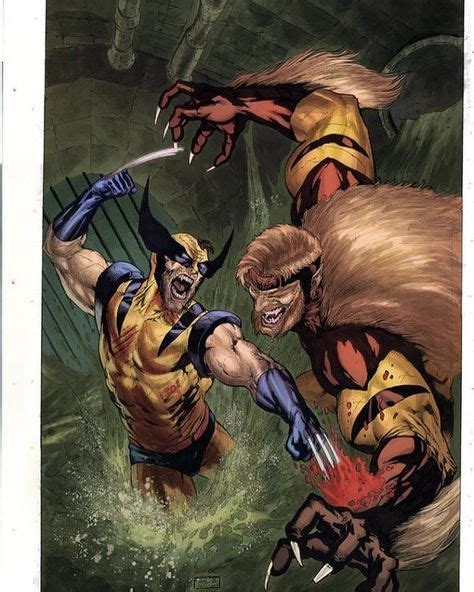 Magneto Sabretooth Wolverine Sabertooth Wolverine Marvel Marvel Artwork