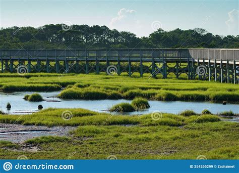 Elevated Boardwalk Over The Marsh And Green Grasses In Assateague Stock