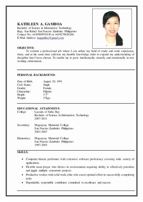 Information Technology Resume Template Inspirational Information Technology Resume Wikirian