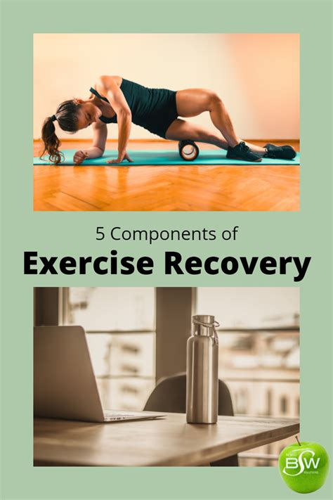 5 Components Of Exercise Recovery Be Well Solutions