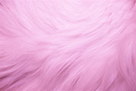 Pink Fur Texture Picture | Free Photograph | Photos Public Domain