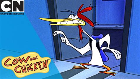 Cow And Chicken Becoming Rich And Famous Cartoon Network Youtube