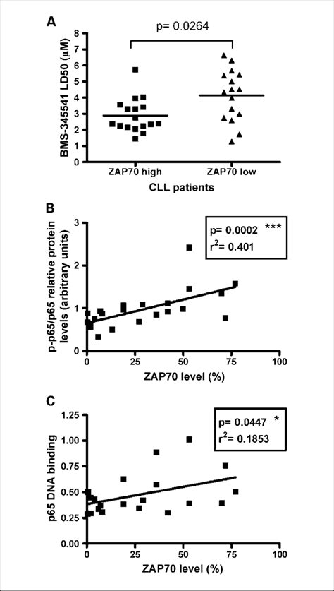 Role Of Zap 70 Expression In Nf Nb Signaling In Cll Cells A